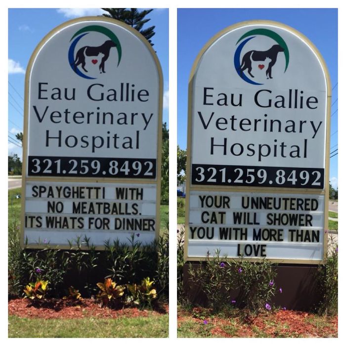 Vet clinic sign with funny cat jokes about spaying and unneutered cats shared outside Eau Gallie Veterinary Hospital.