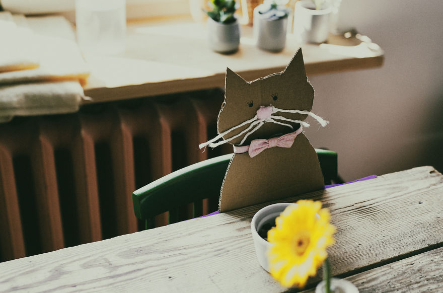 Cats' Cardboard World Cats' Cardboard World