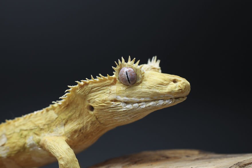 I Am A Paper Artist And I Make Realistic Animals And Insects From Paper (24 Pics)