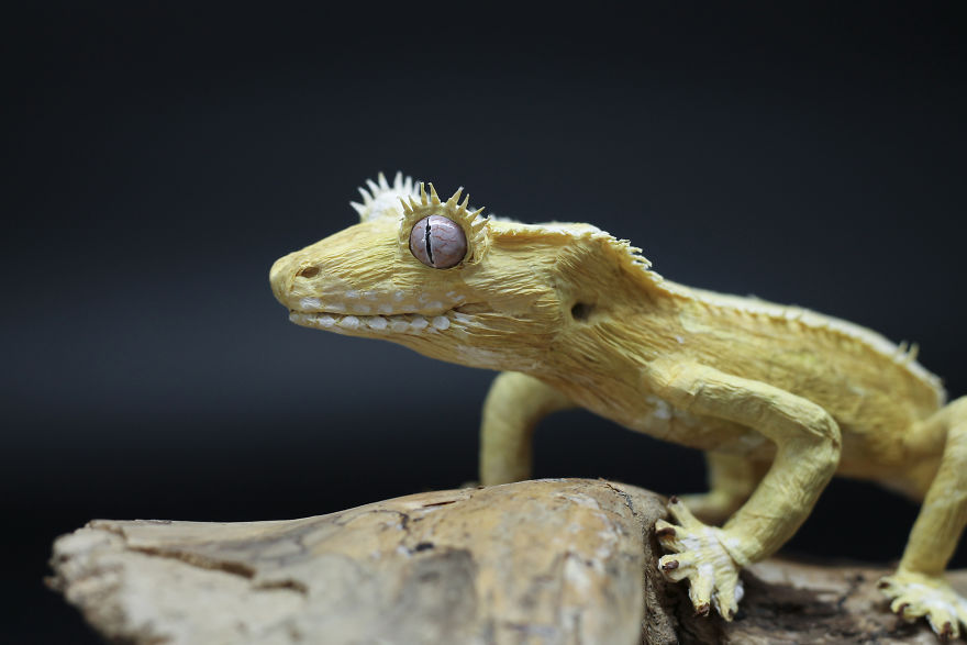 I Am A Paper Artist And I Make Realistic Animals And Insects From Paper (24 Pics) I Am A Paper Artist And I Make Realistic Animals And Insects From Paper (24 Pics)
