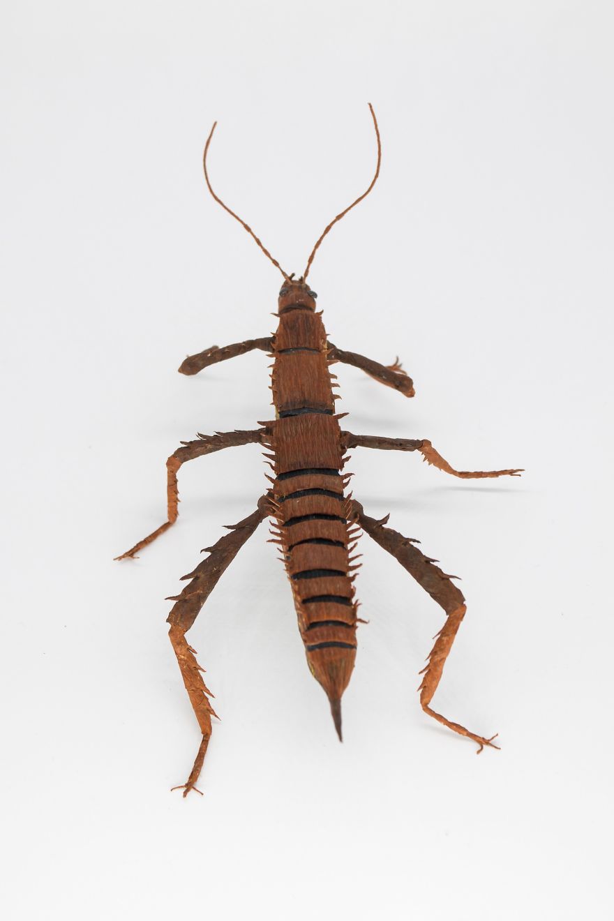 I Am A Paper Artist And I Make Realistic Animals And Insects From Paper (24 Pics) I Am A Paper Artist And I Make Realistic Animals And Insects From Paper (24 Pics)