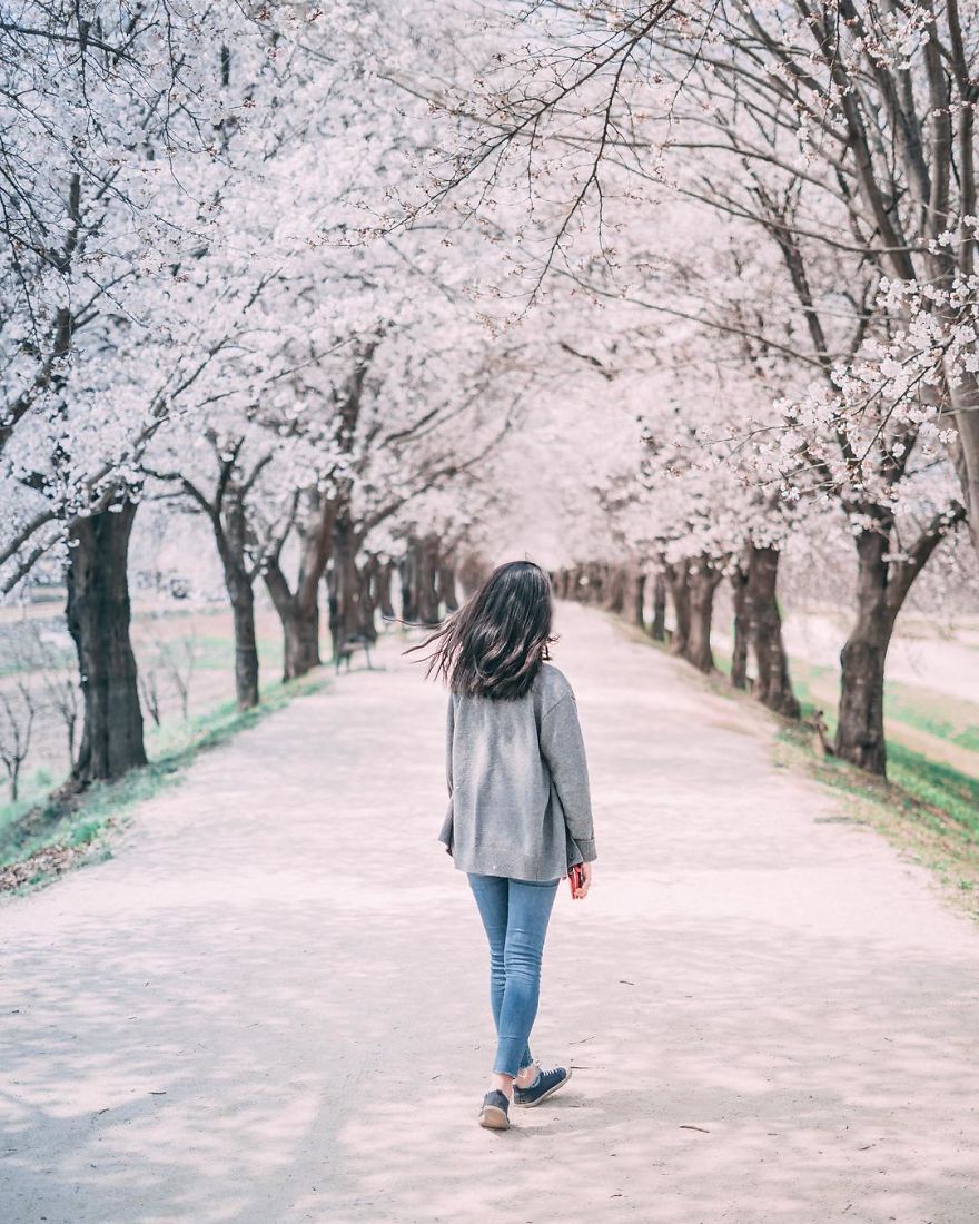 I Have Been Living In Seoul For Three Years And Here Are Some Of My Favorite Photos That I've Taken Recently Of The City