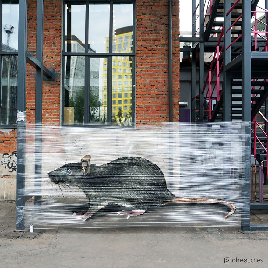 I Use Transparent Wrap To Spray-Paint Animals I Use Transparent Wrap To Spray-Paint Animals