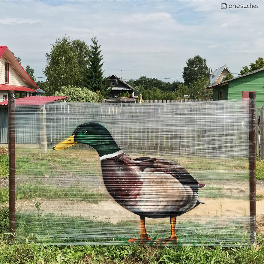 I Use Transparent Wrap To Spray-Paint Animals I Use Transparent Wrap To Spray-Paint Animals