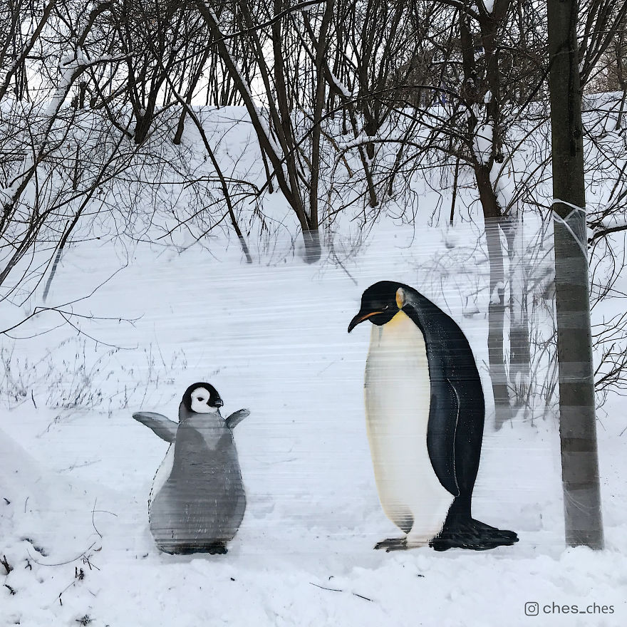 I Use Transparent Wrap To Spray-Paint Animals