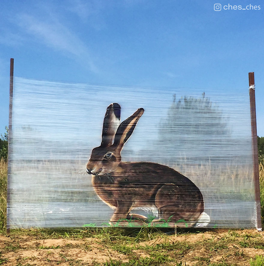 I Use Transparent Wrap To Spray-Paint Animals