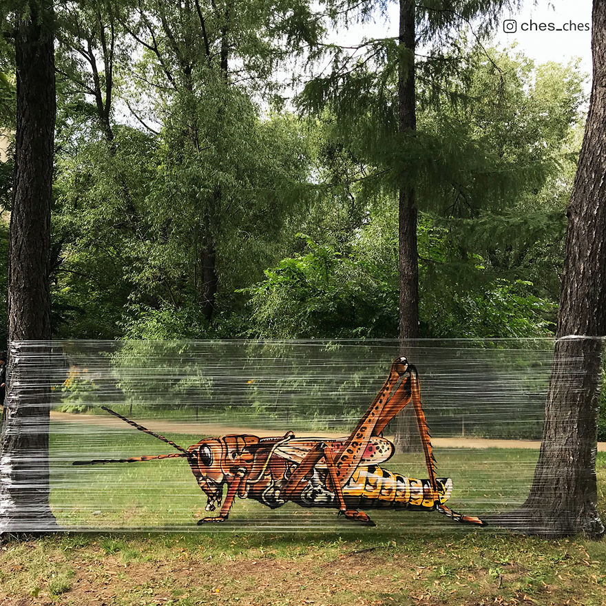 I Use Transparent Wrap To Spray-Paint Animals I Use Transparent Wrap To Spray-Paint Animals