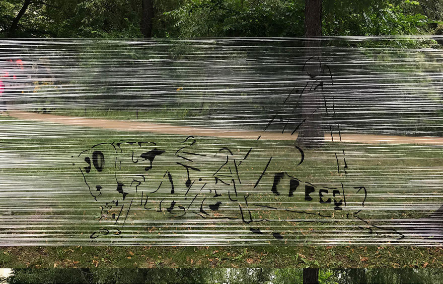 I Use Transparent Wrap To Spray-Paint Animals