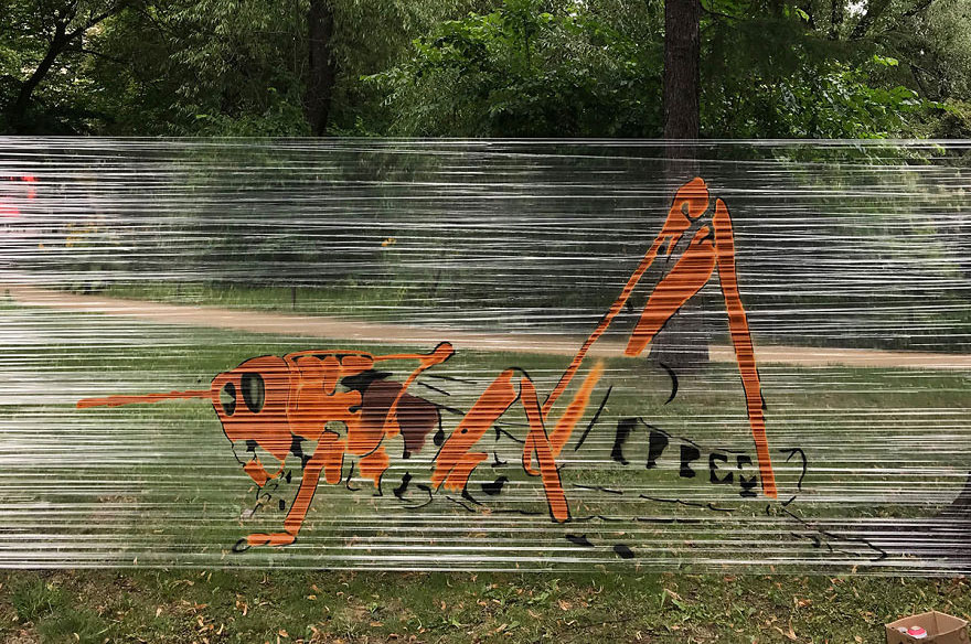 I Use Transparent Wrap To Spray-Paint Animals I Use Transparent Wrap To Spray-Paint Animals