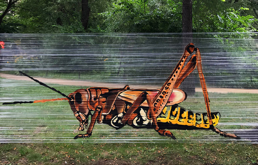 I Use Transparent Wrap To Spray-Paint Animals