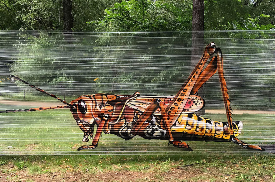 I Use Transparent Wrap To Spray-Paint Animals I Use Transparent Wrap To Spray-Paint Animals