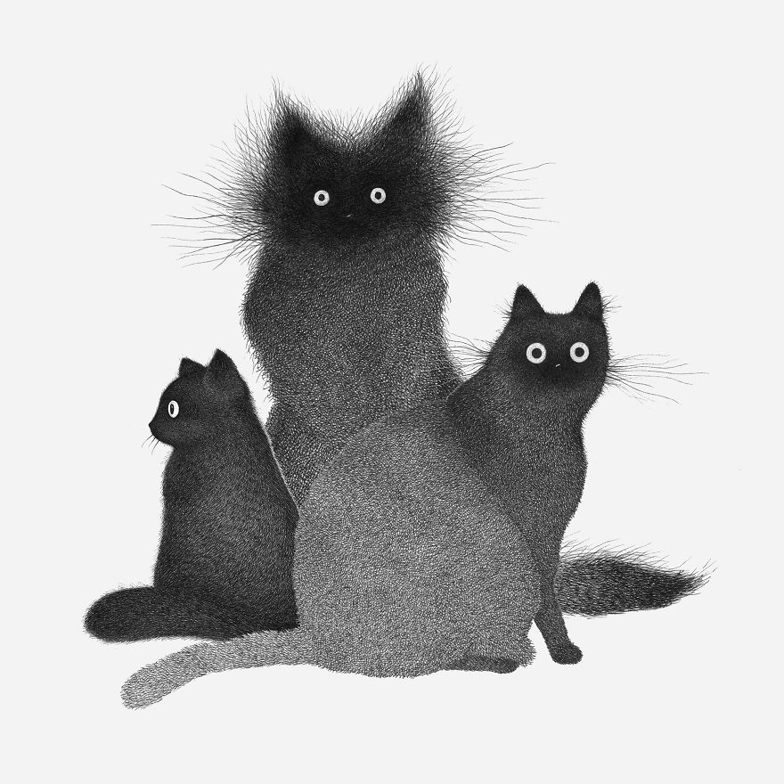 Zipps, Bubi And Meeko