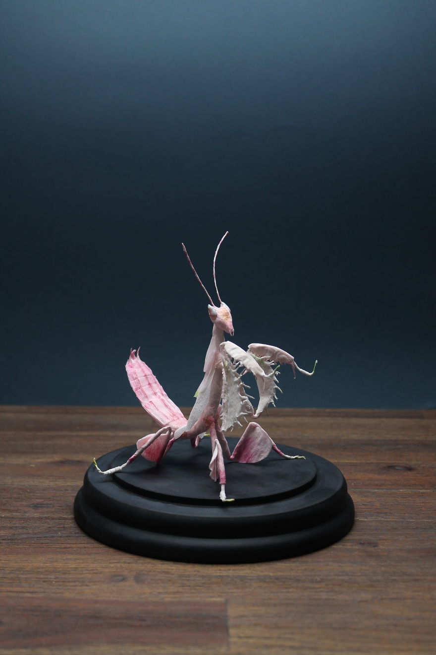 I Am A Paper Artist And I Make Realistic Animals And Insects From Paper (24 Pics) I Am A Paper Artist And I Make Realistic Animals And Insects From Paper (24 Pics)