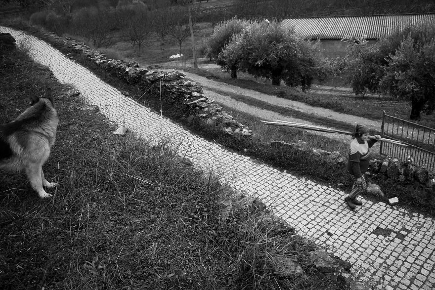 I Photographed The Life Of The Shepherds