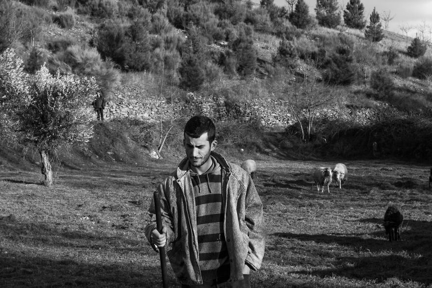 I Photographed The Life Of The Shepherds I Photographed The Life Of The Shepherds