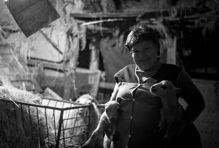 I Photographed The Life Of The Shepherds I Photographed The Life Of The Shepherds