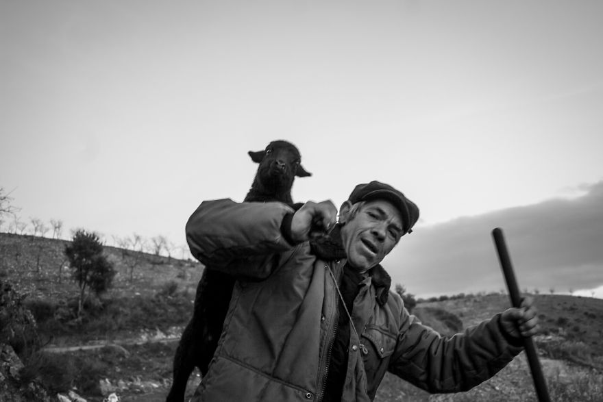 I Photographed The Life Of The Shepherds