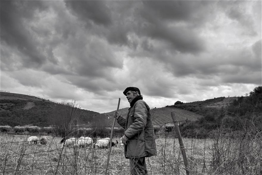 I Photographed The Life Of The Shepherds I Photographed The Life Of The Shepherds