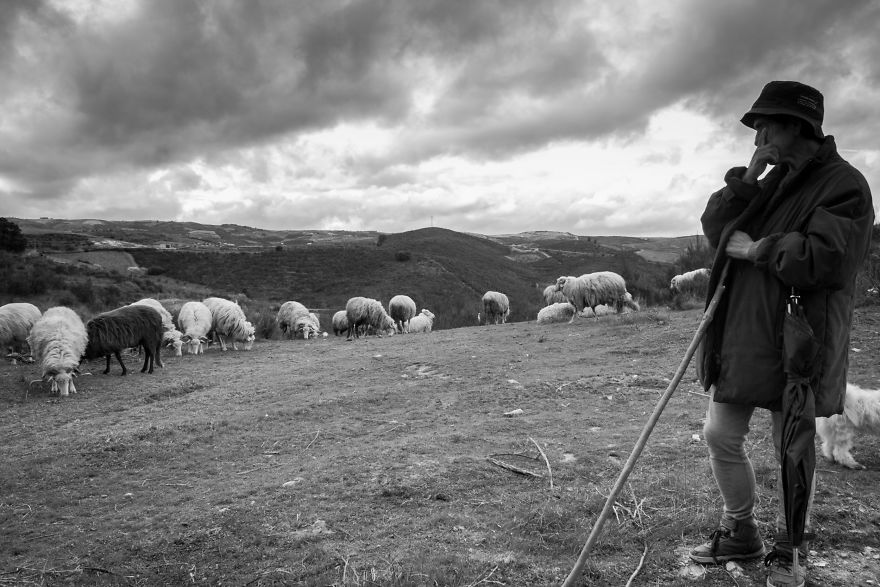 I Photographed The Life Of The Shepherds