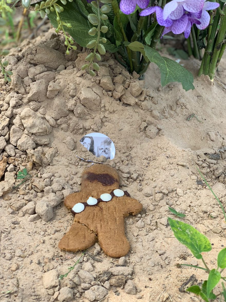 I'm Surprised By The Humble Grave For Chewbacca Actor Peter Mayhew I'm Surprised By The Humble Grave For Chewbacca Actor Peter Mayhew