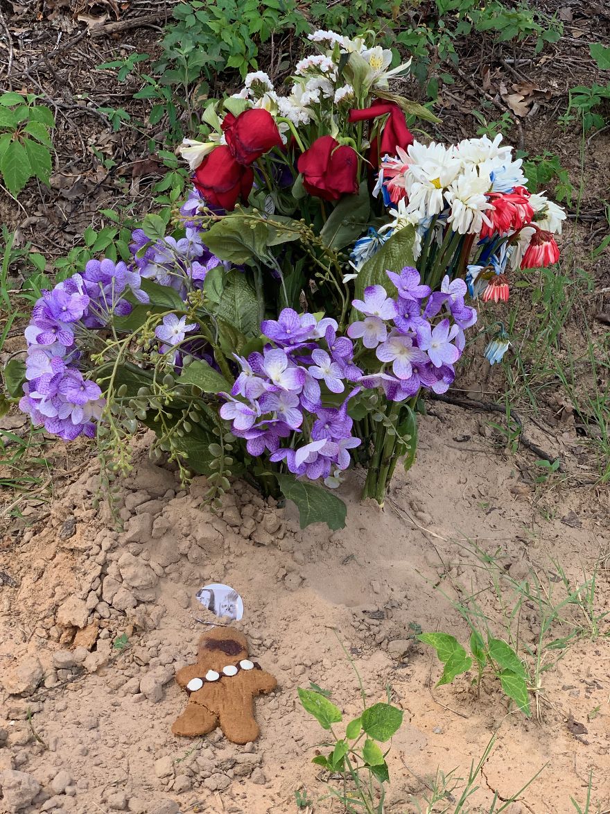 I'm Surprised By The Humble Grave For Chewbacca Actor Peter Mayhew I'm Surprised By The Humble Grave For Chewbacca Actor Peter Mayhew