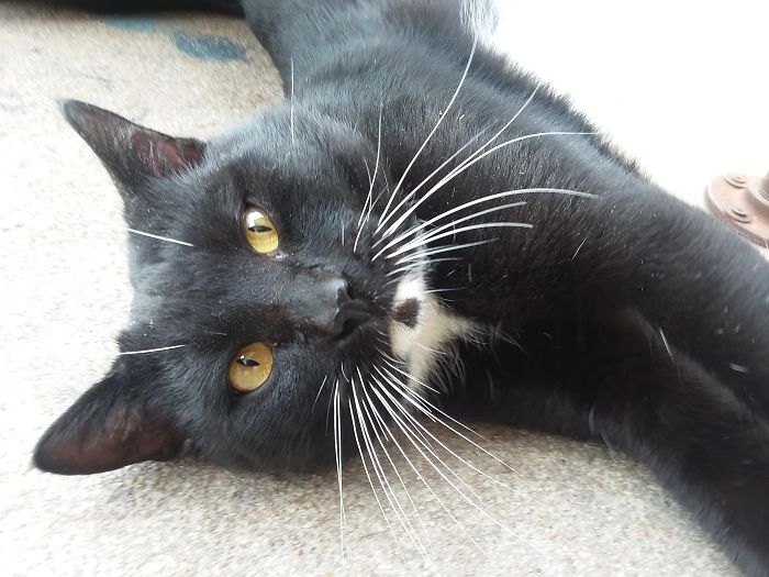 I'm Starting An Animal Rescue To Give Abandoned Animals A Second Chance At Life I'm Starting An Animal Rescue To Give Abandoned Animals A Second Chance At Life