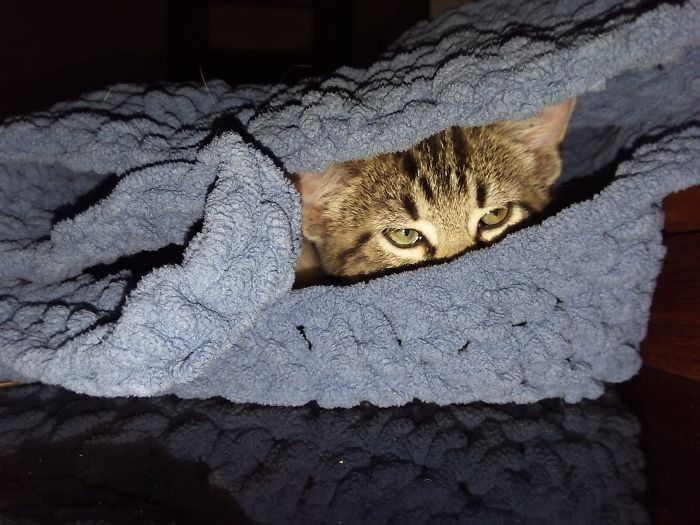 I'm Starting An Animal Rescue To Give Abandoned Animals A Second Chance At Life I'm Starting An Animal Rescue To Give Abandoned Animals A Second Chance At Life