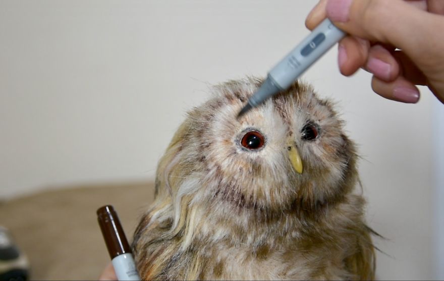 My 19 Life-Like Animal Creations From Upcycled Faux Fur Fabric My 19 Life-Like Animal Creations From Upcycled Faux Fur Fabric