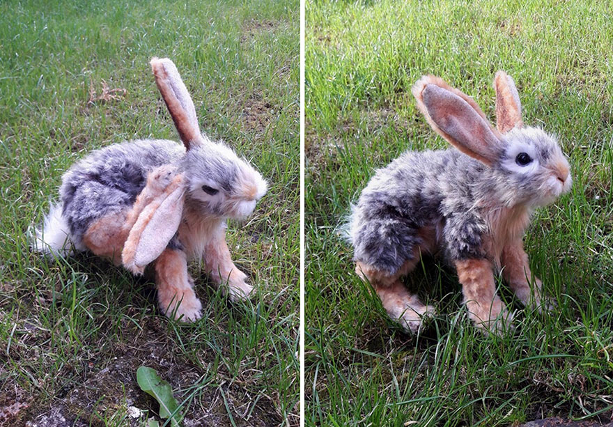 My 19 Life-Like Animal Creations From Upcycled Faux Fur Fabric