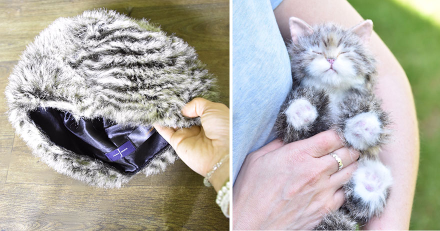 My 19 Life-Like Animal Creations From Upcycled Faux Fur Fabric My 19 Life-Like Animal Creations From Upcycled Faux Fur Fabric