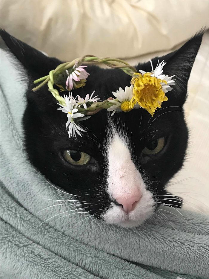 Jane Elizabeth, Queen Of The May. My Daughter Can Do Anything To Her And She Loves It.