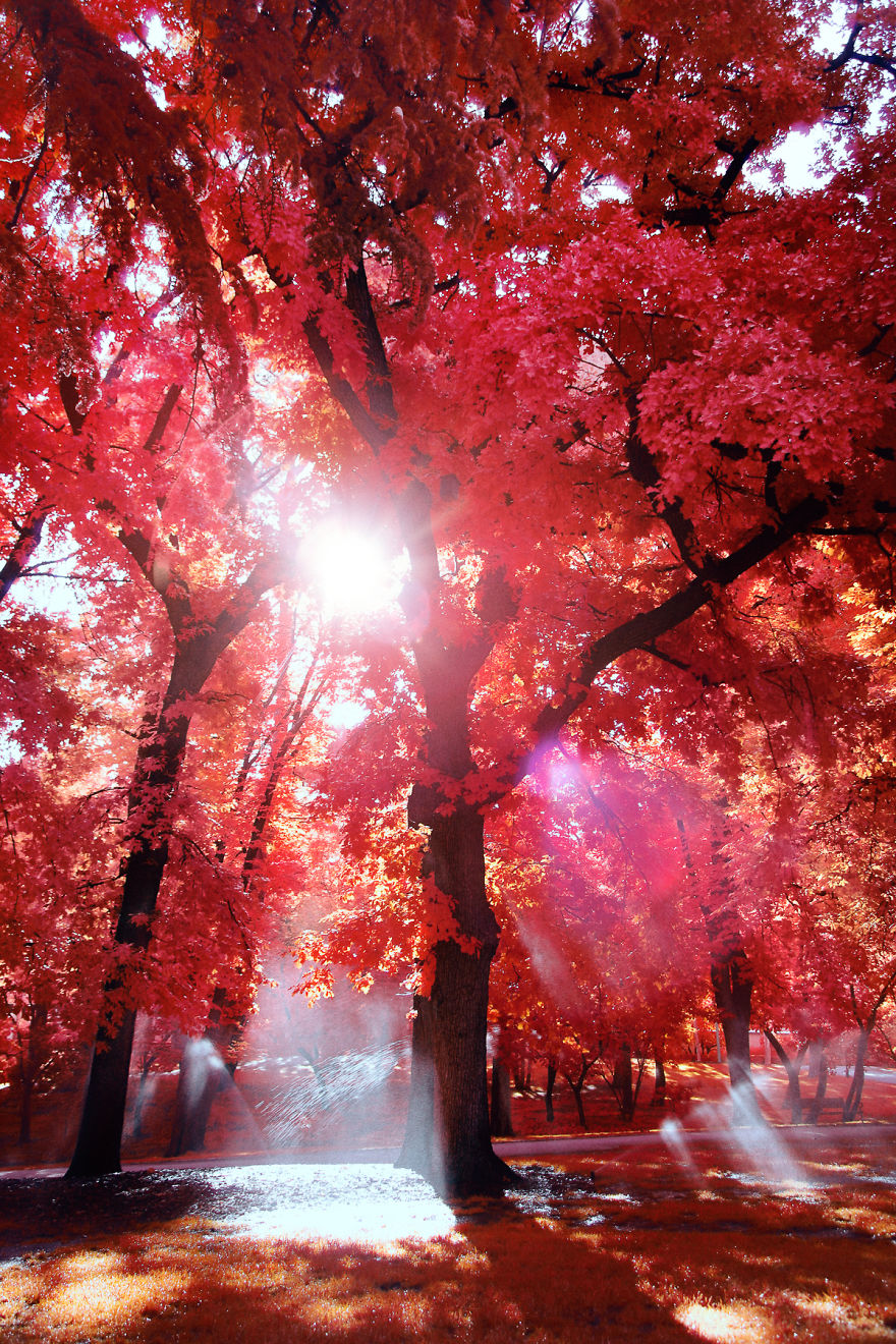 He Discovers Madrid In Infrared !