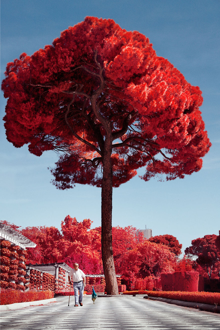 He Discovers Madrid In Infrared !