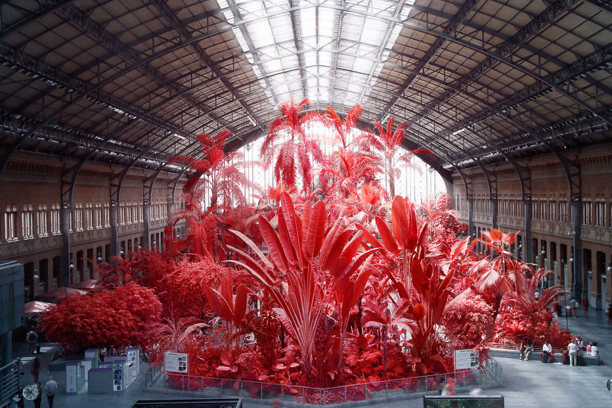 He Discovers Madrid In Infrared !