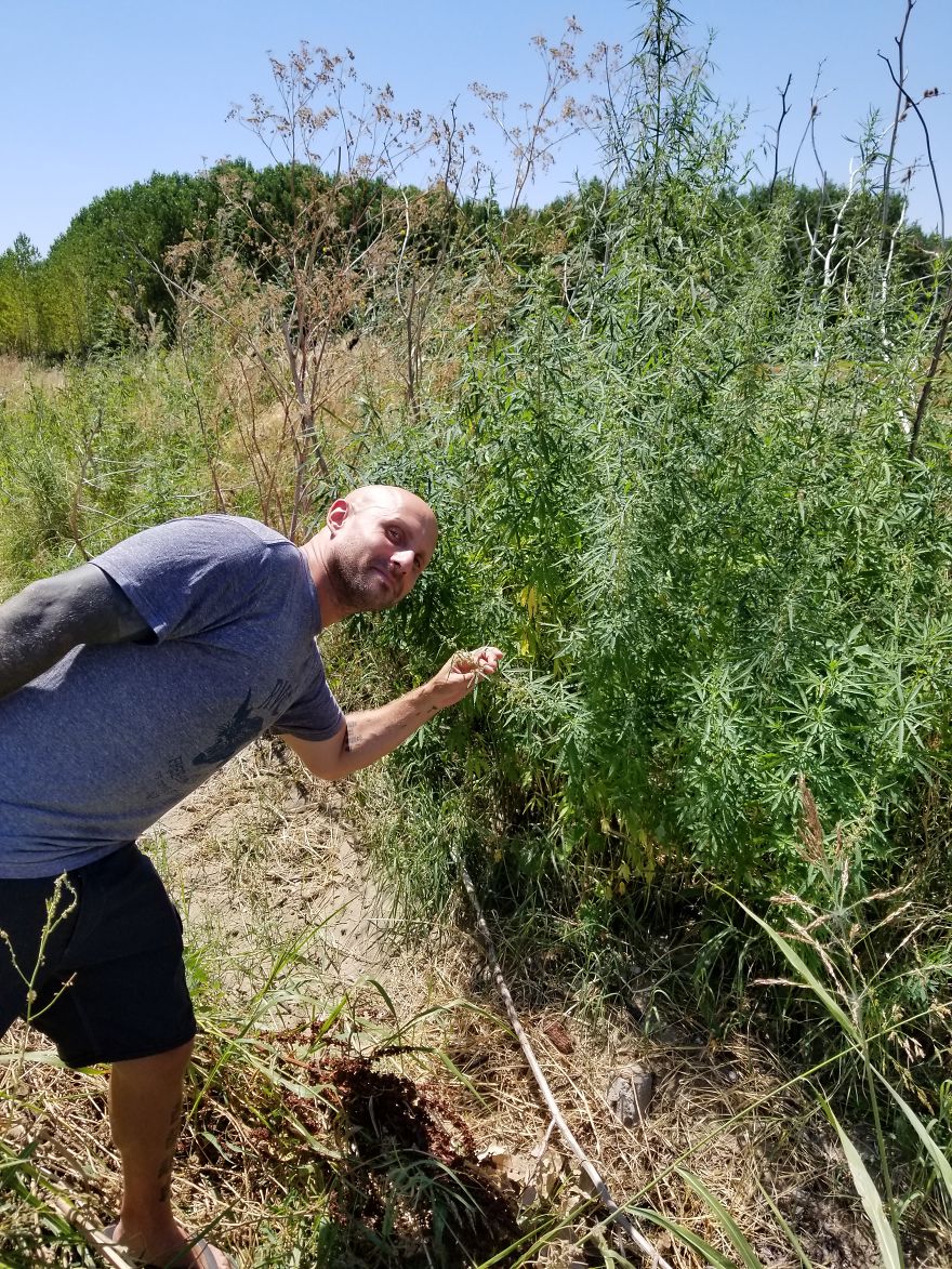 Muscles, Sweat, Blood, And Olive Oil Muscles, Sweat, Blood, And Olive Oil