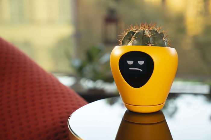 This Planter Turns Your Plants Into Tamagotchi-Like Pets This Planter Turns Your Plants Into Tamagotchi-Like Pets