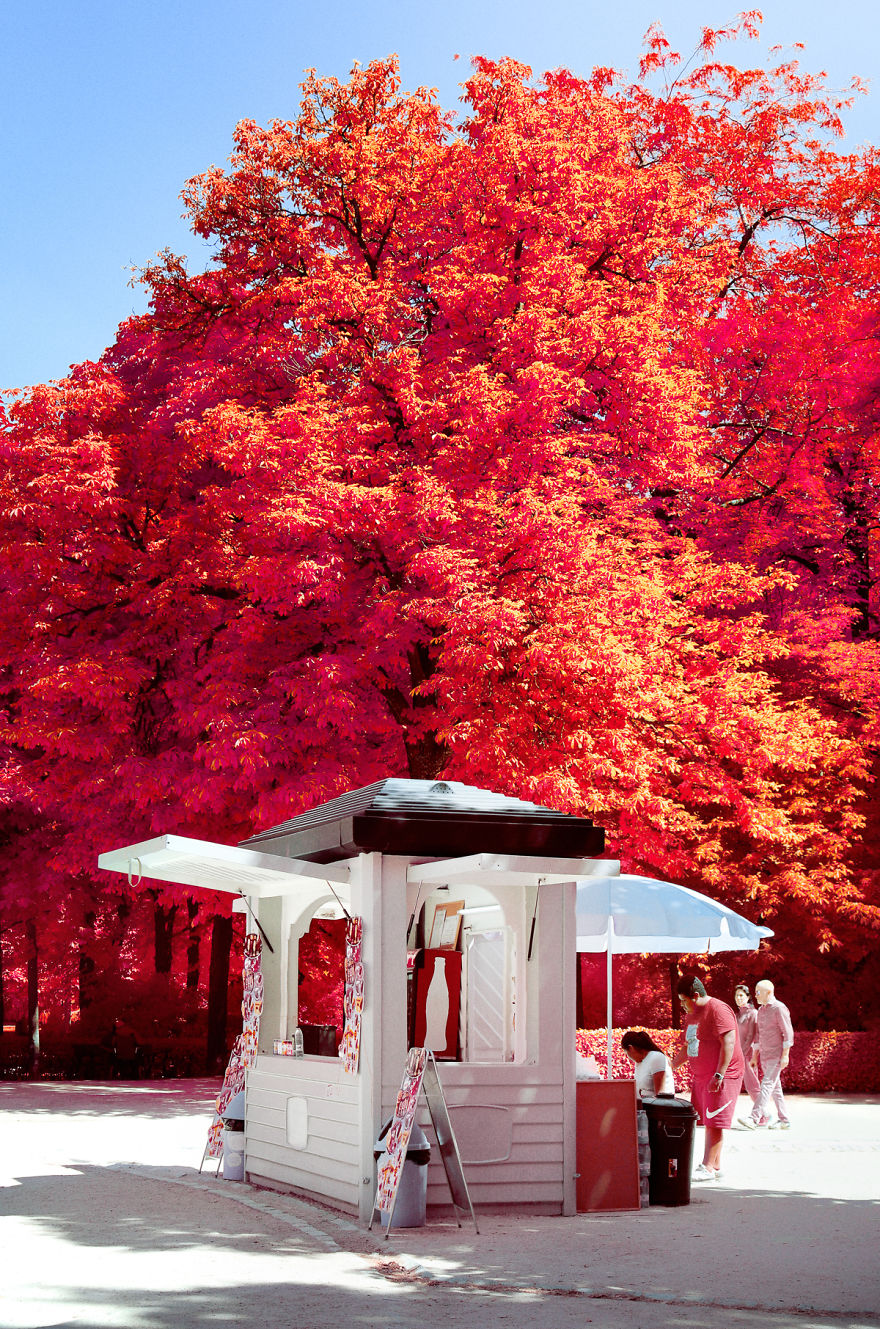 He Discovers Madrid In Infrared !