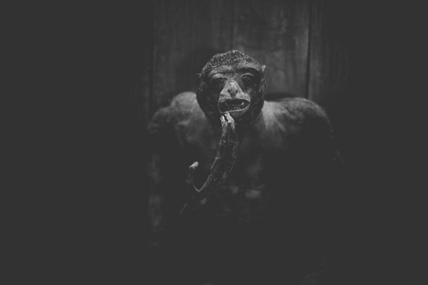 These Sad Photos Will Make You Think Twice Before Going To The Zoo