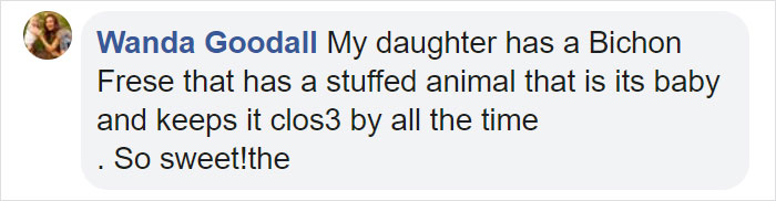 This Adorable Golden Retriever Can't Leave Home Without His Mini-Me Stuffed Toy This Adorable Golden Retriever Can't Leave Home Without His Mini-Me Stuffed Toy