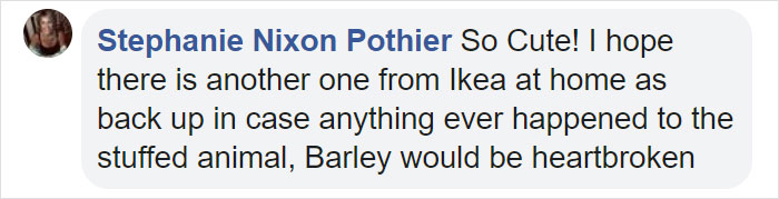 This Adorable Golden Retriever Can't Leave Home Without His Mini-Me Stuffed Toy