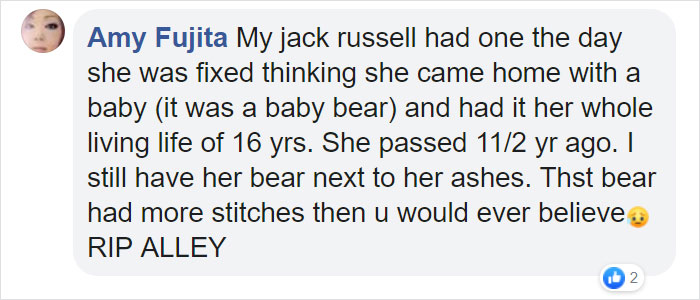 This Adorable Golden Retriever Can't Leave Home Without His Mini-Me Stuffed Toy This Adorable Golden Retriever Can't Leave Home Without His Mini-Me Stuffed Toy