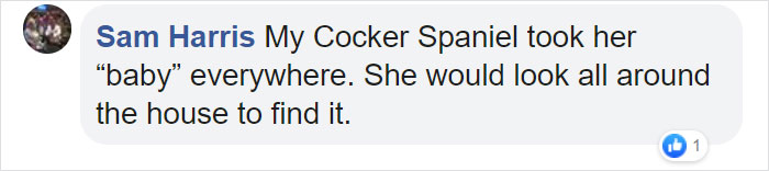 This Adorable Golden Retriever Can't Leave Home Without His Mini-Me Stuffed Toy