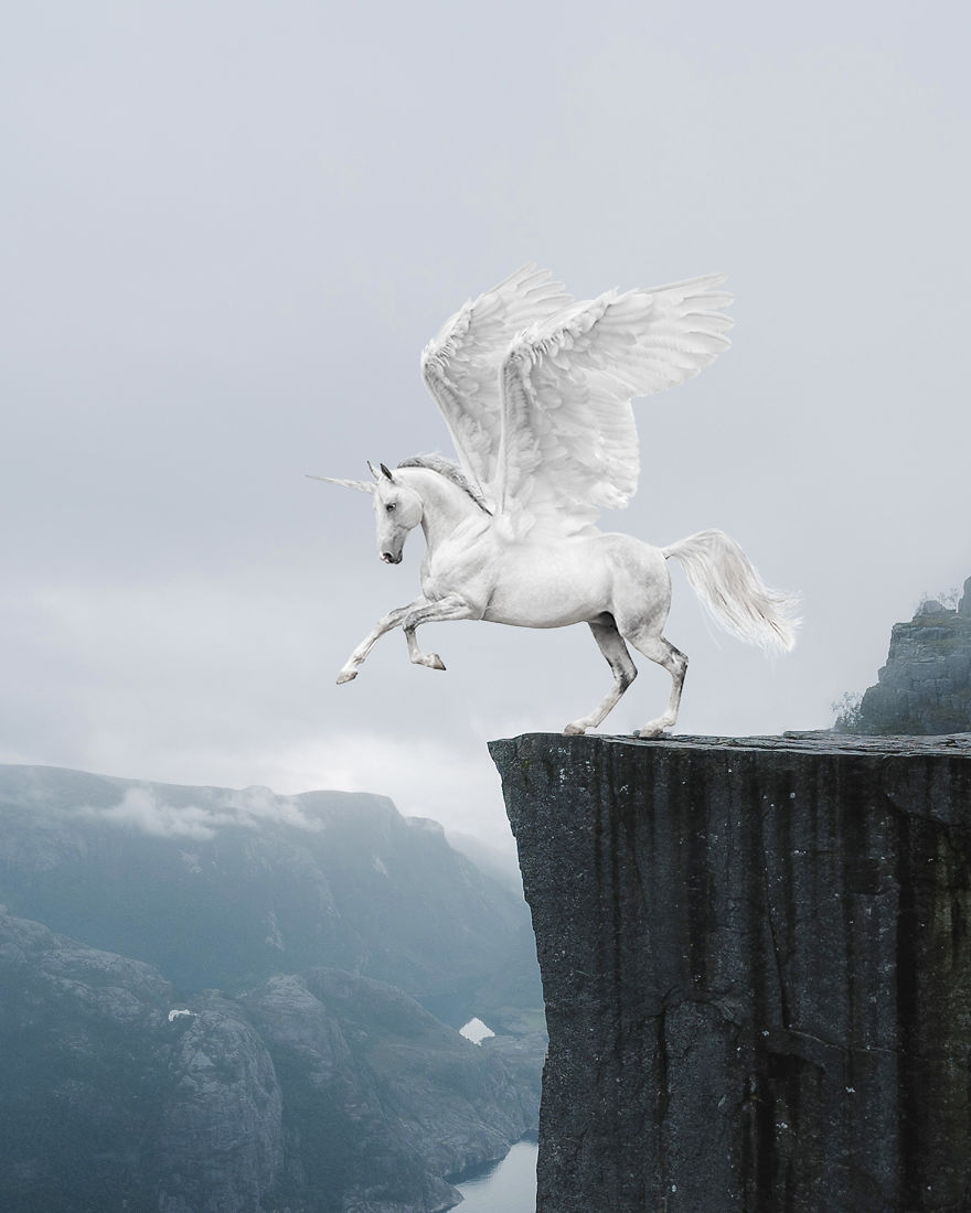Pegasus Unicorn