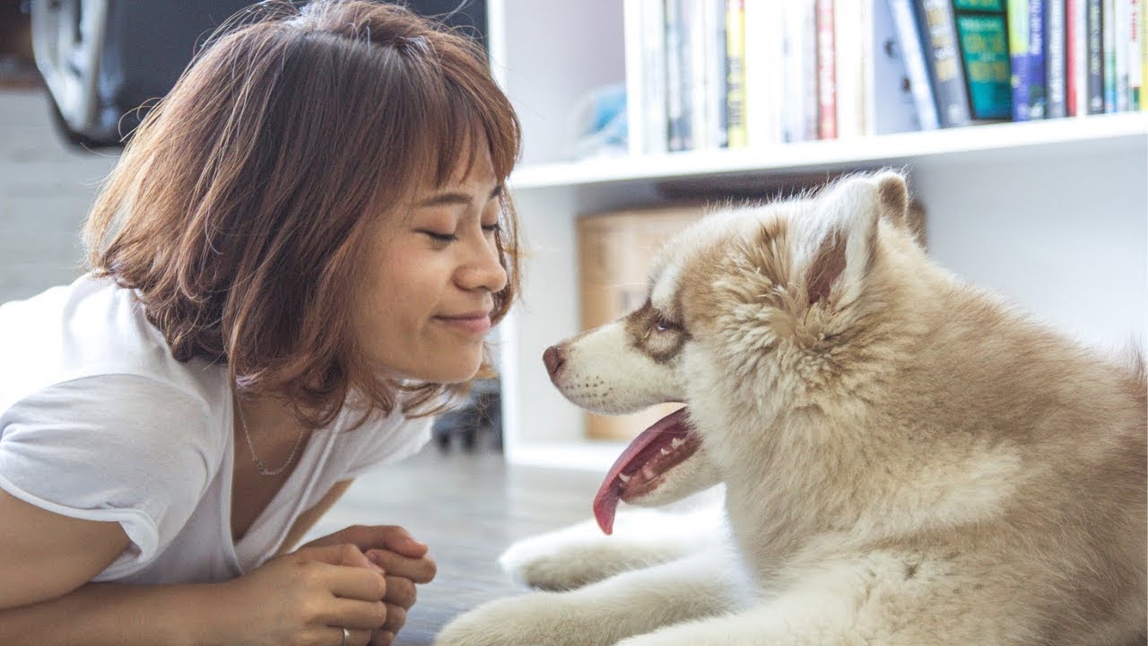 How Each Mess Your Dog Makes Is A Chance To Say, [ I Love You For Who You Are ]