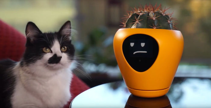 This Planter Turns Your Plants Into Tamagotchi-Like Pets This Planter Turns Your Plants Into Tamagotchi-Like Pets