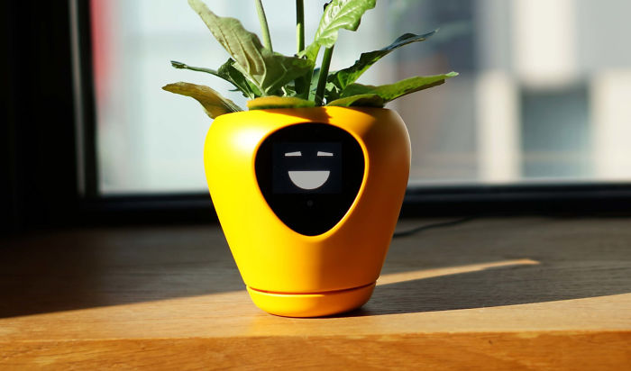 This Planter Turns Your Plants Into Tamagotchi-Like Pets This Planter Turns Your Plants Into Tamagotchi-Like Pets