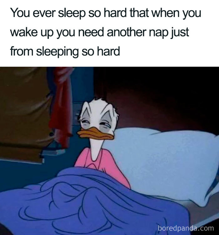 Tired cartoon duck sitting up in bed looking sleepy with text about needing another nap from sleeping hard meme.