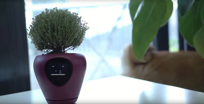 This Planter Turns Your Plants Into Tamagotchi-Like Pets This Planter Turns Your Plants Into Tamagotchi-Like Pets