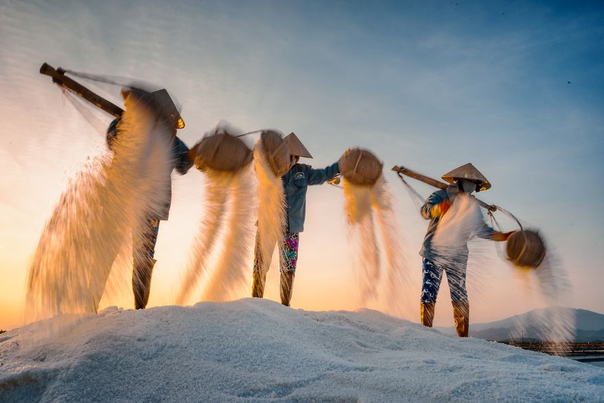 Salt Harvest