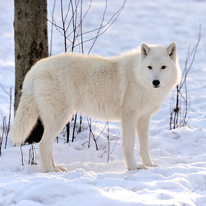 allyson-aultman15 avatar